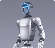 G1 Humanoid-Roboter — profile